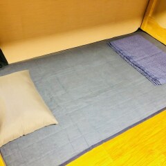 Отель High Street Guest House Hongdae с домашними животными