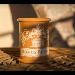 Отель Domus Rosarum Италия, Региональный парк Colli Euganei - отзывы, цены и фото номеров - забронировать отель Domus Rosarum онлайн развлечения