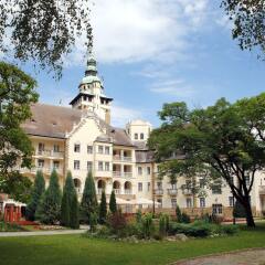 Отель Hunguest Hotel Palota Венгрия, Силвашварад - 1 отзыв об отеле, цены и фото номеров - забронировать отель Hunguest Hotel Palota онлайн фото 7