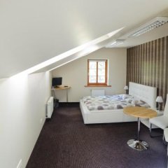 Отель GUSTAVS Латвия, Цесис - отзывы, цены и фото номеров - забронировать отель GUSTAVS онлайн комната для гостей фото 4