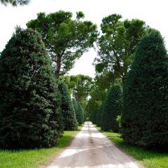 Отель Agriturismo al Colle Бертиноро фото 5