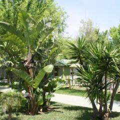 Отель Camping-Bungalows El Faro Испания, Кониль-де-ла-Фронтера - отзывы, цены и фото номеров - забронировать отель Camping-Bungalows El Faro онлайн