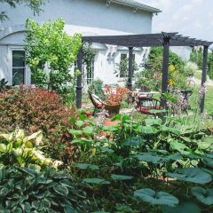 Отель Orchard House Bed and Breakfast фото 6