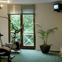 Отель Balance Hotel Leipzig Alte Messe Германия, Ройдниц-Торнберг - 1 отзыв об отеле, цены и фото номеров - забронировать отель Balance Hotel Leipzig Alte Messe онлайн фитнесс-зал