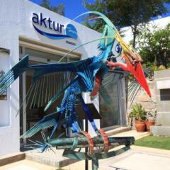 Отель Aktur Residence спортивное сооружение