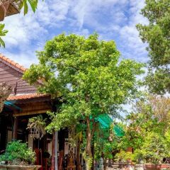Отель Bonsai Homestay Хойан фото 2