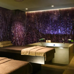 Отель Savoy Saccharum Resort & Spa Португалия, Кальета - 3 отзыва об отеле, цены и фото номеров - забронировать отель Savoy Saccharum Resort & Spa онлайн интерьер отеля фото 3