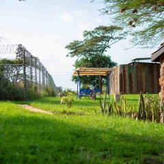 Game View Hotels in Ongata Rongai, Kenya from 53$, photos, reviews - zenhotels.com photo 8