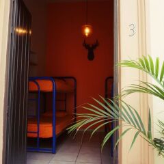Blue Pepper Hostel Downtown Гвадалахара балкон
