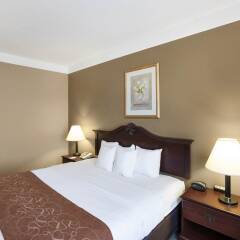 Отель Comfort Suites Plainview комната для гостей
