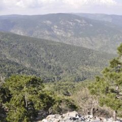 Отель Misanli Pansiyon Пелиткой фото 3