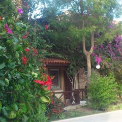 Moonshine Hotel & Suites