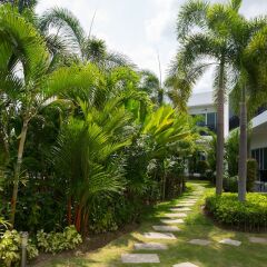 Отель The Serenity Resort