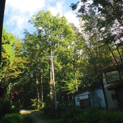 Отель Sekkasai Lodge Хакуба фото 4