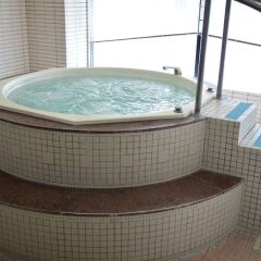 Bayside Hotel Azur Takeshiba Hamamatsucho бассейн