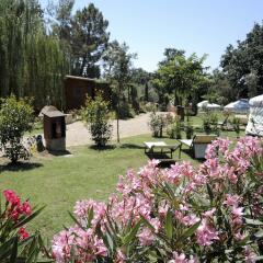 Отель Agriturismo Fattoria La Prugnola Монтескудаио фото 3