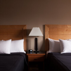 Отель Executive Royal Hotel Calgary Канада, Калгари - отзывы, цены и фото номеров - забронировать отель Executive Royal Hotel Calgary онлайн детские мероприятия