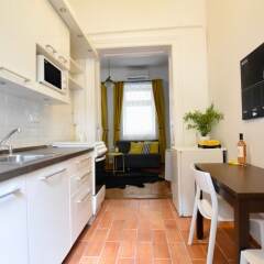 Отель Standard Apartment by Hi5 - Chainbridge Венгрия, Будапешт - отзывы, цены и фото номеров - забронировать отель Standard Apartment by Hi5 - Chainbridge онлайн фото 3