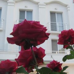 Отель Melsa COOP Hotel Болгария, Несебр - отзывы, цены и фото номеров - забронировать отель Melsa COOP Hotel онлайн балкон