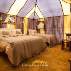 Отель Dunes Luxury Camp Erg Chebbi Марокко, Мерзуга - отзывы, цены и фото номеров - забронировать отель Dunes Luxury Camp Erg Chebbi онлайн комната для гостей фото 3