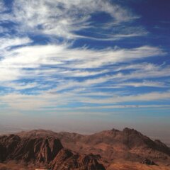 Отель Movenpick Nabatean Castle Hotel Иордания, Вади-Муса - отзывы, цены и фото номеров - забронировать отель Movenpick Nabatean Castle Hotel онлайн фото 3