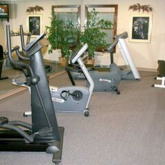 Отель Hampton Inn & Suites Springdale фитнесс-зал фото 3