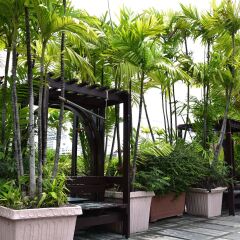 Отель Platinum Villa Бангкок фото 8