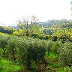 Отель Agriturismo Martignana Alta Эмполи фото 21