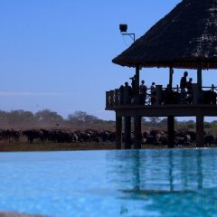 Voi Wildlife Lodge in Tsavo, Kenya from 201$, photos, reviews - zenhotels.com pool photo 2