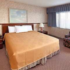 Отель Travelodge Hotel at LAX США, Лос-Анджелес - отзывы, цены и фото номеров - забронировать отель Travelodge Hotel at LAX онлайн комната для гостей