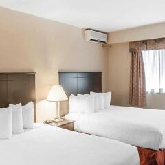 Отель Econo Lodge Inn & Suites Downtown Канада, Торонто - отзывы, цены и фото номеров - забронировать отель Econo Lodge Inn & Suites Downtown онлайн комната для гостей