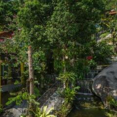 Отель Greenery Resort фото 7