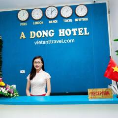 Dong A Hotel Ханой с домашними животными
