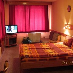 Отель Family Hotel Savov Болгария, Чепеларе - отзывы, цены и фото номеров - забронировать отель Family Hotel Savov онлайн комната для гостей фото 2