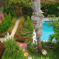 Villa Keur Bibou in Dakar, Senegal from 203$, photos, reviews - zenhotels.com pool