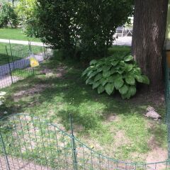 Отель AJO Apartments Danube Австрия, Вена - отзывы, цены и фото номеров - забронировать отель AJO Apartments Danube онлайн фото 3