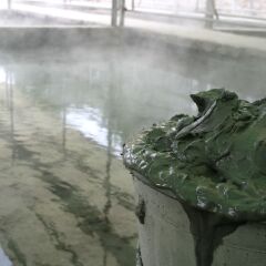 Отель Venezia Terme Италия, Абано-Терме - 6 отзывов об отеле, цены и фото номеров - забронировать отель Venezia Terme онлайн приотельная территория