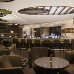 Отель Novotel New Delhi Aerocity Нью-Дели гостиничный бар