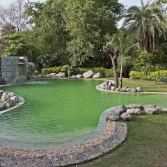 Отель WelcomHeritage Maharani Bagh Orchard Retreat развлечения