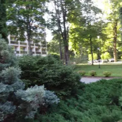 Отель Cottage Sanatorium Belorusija Латвия, Юрмала - отзывы, цены и фото номеров - забронировать отель Cottage Sanatorium Belorusija онлайн фото 2