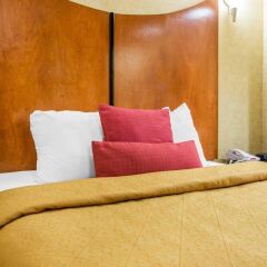 Отель Quality Inn and Suites North/Polaris США, Колумбус - отзывы, цены и фото номеров - забронировать отель Quality Inn and Suites North/Polaris онлайн комната для гостей фото 5