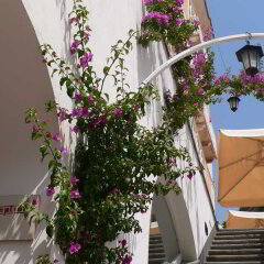 Palazzo Ferraioli Hotel & Wellness Center Атрани фото 2