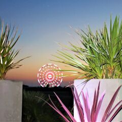 Отель Golden Tulip Villa Massalia фото 8