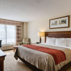 Comfort Inn & Suites in Dover, United States of America from 118$, photos, reviews - zenhotels.com guestroom photo 3