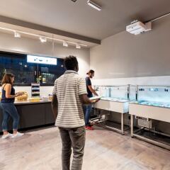 Отель Wolfgang's managed by a&o Австрия, Зальцбург - отзывы, цены и фото номеров - забронировать отель Wolfgang's managed by a&o онлайн интерьер отеля фото 2