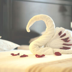Royal Classic Hotel сауна