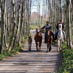 Отель Agriturismo Sentiero Dei Sapori Аджерола приотельная территория