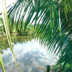 Отель Gia Bao Phat Homestay бассейн фото 3