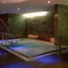Отель InterContinental Düsseldorf спа