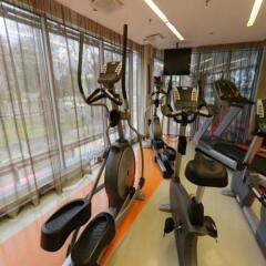 Radisson Blu Elizabete Hotel фитнесс-зал фото 3